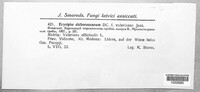 Image Associated With the Occurence